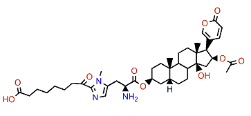 Bufotalin 3-suberoyl-L-3-methylhistidine ester